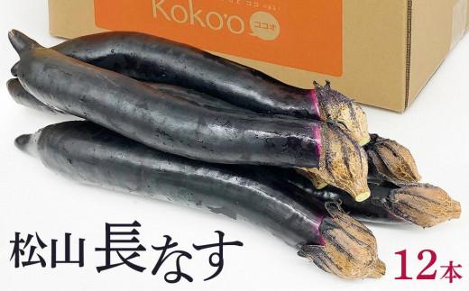 [2026年9月中旬頃から順次発送]松山長なす 12本入り | 夏野菜 茄子 わけあり ナス 長なす ワケアリ 長ナス 野菜 国産 国内産 新鮮 常温発送 愛媛県 松山市
