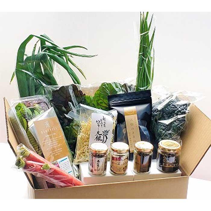 ＜週5セット限定＞アンチョビ・バーニャカウダ＆松山市産野菜セット | 野菜 旬の食材 旬の野菜 季節野菜 オイル漬け あんちょび じゃこ ちりめん干し しらす干し しらす 魚介 海鮮 おすすめ 人気 ギフト セット 愛媛県 松山市