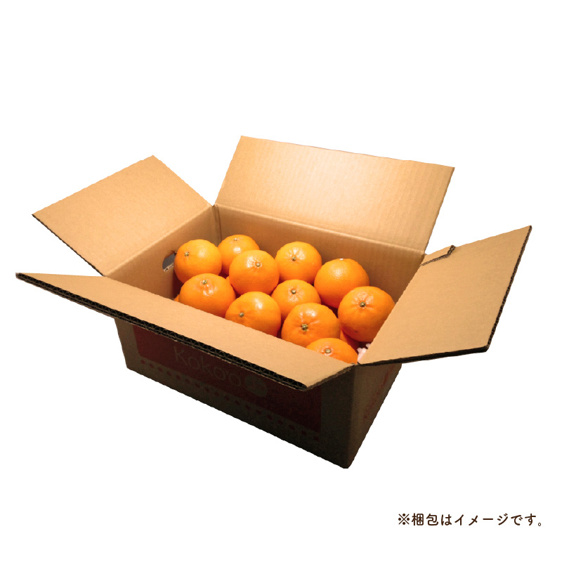 ãå
è¡äºçŽã ç¬æžå
æµ·ã®å³¶ã¿ãã å®¶åºçš(åªå)ãç³å°ã¿ãããçŽ5kg | ææ© ã¿ãã 坿 ãªã¬ã³ãž ãã«ãŒã æç© æåªç æŸå±±åž ã³ã³ãª Koko'o