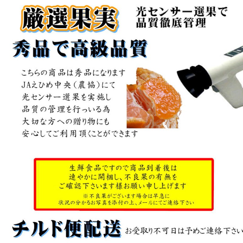 【2026年7月中旬頃から順次発送】ハウスみかん 愛媛 秀品 おすすめ 人気 ギフト みかん JA 愛媛県 松山市 柑橘 くだもの ハウスみかん ミカン果汁 デザート 愛媛みかん 柑橘類 カンキツ かんきつ 蜜柑 蜜橘 樒柑 松山のハウスみかん 愛媛のみかん 甘いハウスみかん フルーツ 果物 温州みかん 極早生種 早生種 温州ミカン 果肉 果汁 ハウスみかん果汁 