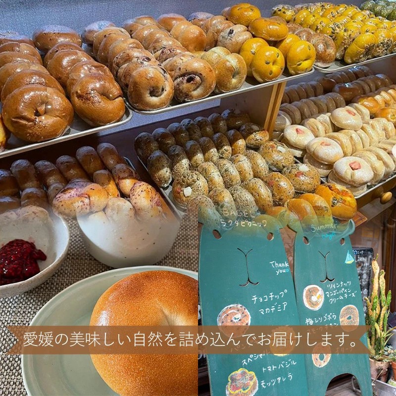 春メニュー！ ベーグル 専門店 BAGEL ラクダピクニック シンプル ベーグル セット 8個 | パン ベーグル 国産 焼き立て 8個セット 詰め合わせ 季節限定 時期限定 愛媛 松山