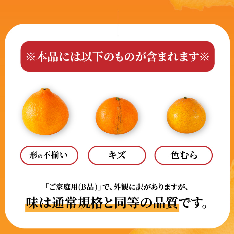 愛果28号 (紅まどんな と同品種) ご家庭用 お試し 1kg (4～5個) 【2026年11月下旬より順次発送】 | 訳あり 愛果 あいか 紅まどんな 紅マドンナ と 同品種 みかん まどんな ワケアリ 柑橘 みかん 果物  おすすめ 高級 人気 お取り寄せ グルメ ギフト 期間  ご当地 愛媛三大柑橘（ 紅まどんな せとか 甘平 ） 愛媛県 松山市  蓮果園
