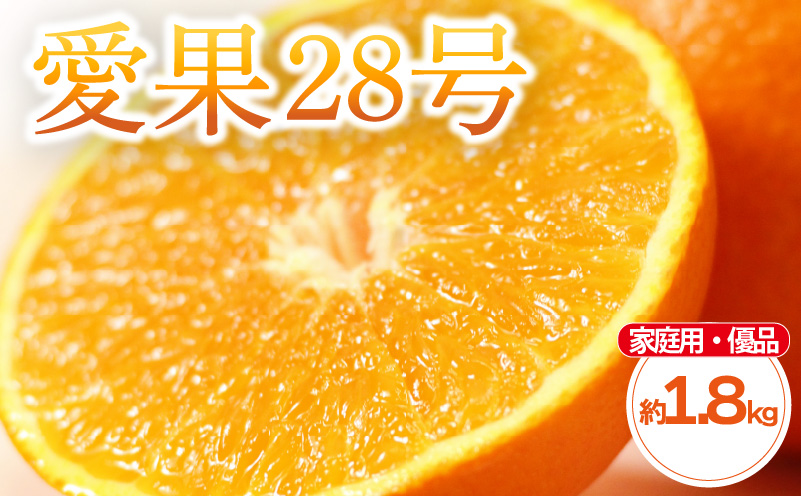 【先行予約】 柑橘 愛果28号 家庭用(優品) 約 1.8kg 4-9玉 / L-4L | 紅まどんな と同品種 あいか28号 みかん 蜜柑 mikan 檸檬 オレンジ おれんじ かんきつ 【2025年11月中旬頃から発送予定】 愛媛県 松山市 ココオ Koko'o