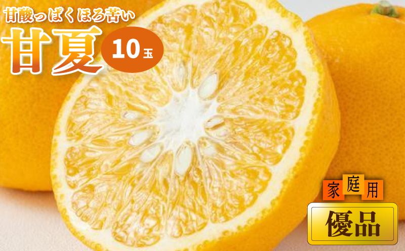 【2026年3月上旬から発送予定】甘夏 家庭用(優品) 10玉 （ 愛媛産 愛媛県産 国産 愛媛みかん 愛媛蜜柑 愛媛ミカン みかん ミカン mikan 蜜柑 柑橘 フルーツ 果物 くだもの お取り寄せ 産地直送 数量限定 人気 おすすめ 愛媛県 松山市 送料無料 ）