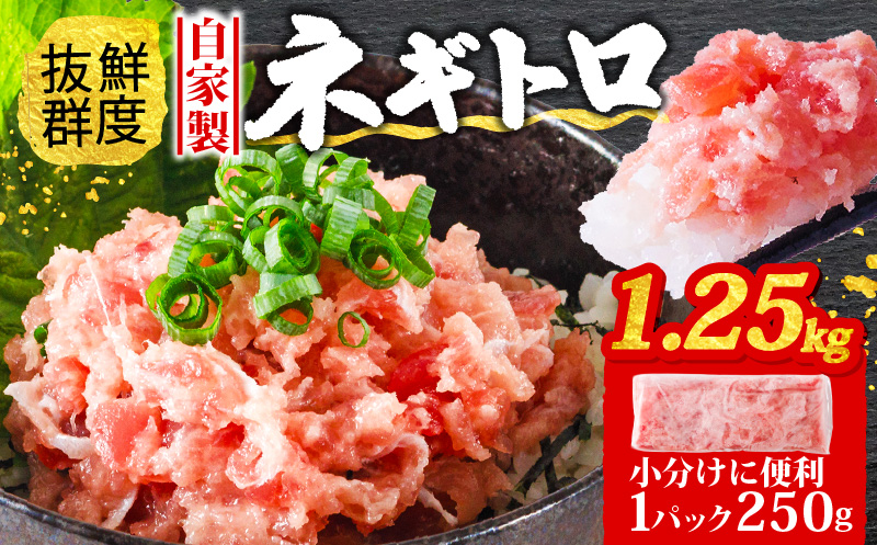ネギトロ 1.25kg (250g×5パック) 冷凍 小分け | 自家製 鮪 まぐろ ねぎトロ ねぎとろ 寿司 ネギトロ丼 愛媛県 松山市 赤身 小分け ねぎとろ ネギトロ 自家製 ネギトロ ねぎとろ 鮪 ねぎとろ ねぎトロ ねぎとろ まぐろ 鮪   きはだ まぐろ ばち まぐろ寿司 ネギトロ丼 ねぎとろ ネギトロ
