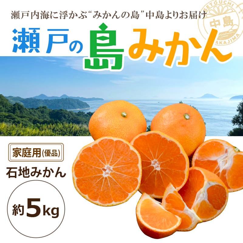 【先行予約】 瀬戸内海の島みかん 家庭用(優品)【石地みかん】約5kg | 柑橘 みかん 密柑 オレンジ フルーツ 果物 愛媛県 松山市 ココオ Koko'o