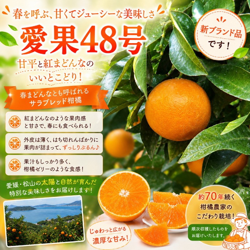 【2027年3月上旬頃から順次発送】  愛果48号（紅プリンセスと同品種） 約1.0kg ｜あいか 愛果 紅まどんな × 甘平 紅プリンセス と同品種 みかん 蜜柑 ミカン 柑橘 果物 フルーツ 松山市産みかん 新品種 甘い 美味しい 酸味 おすすめ お取り寄せ グルメ ギフト 期間 ご当地  愛媛県 松山市