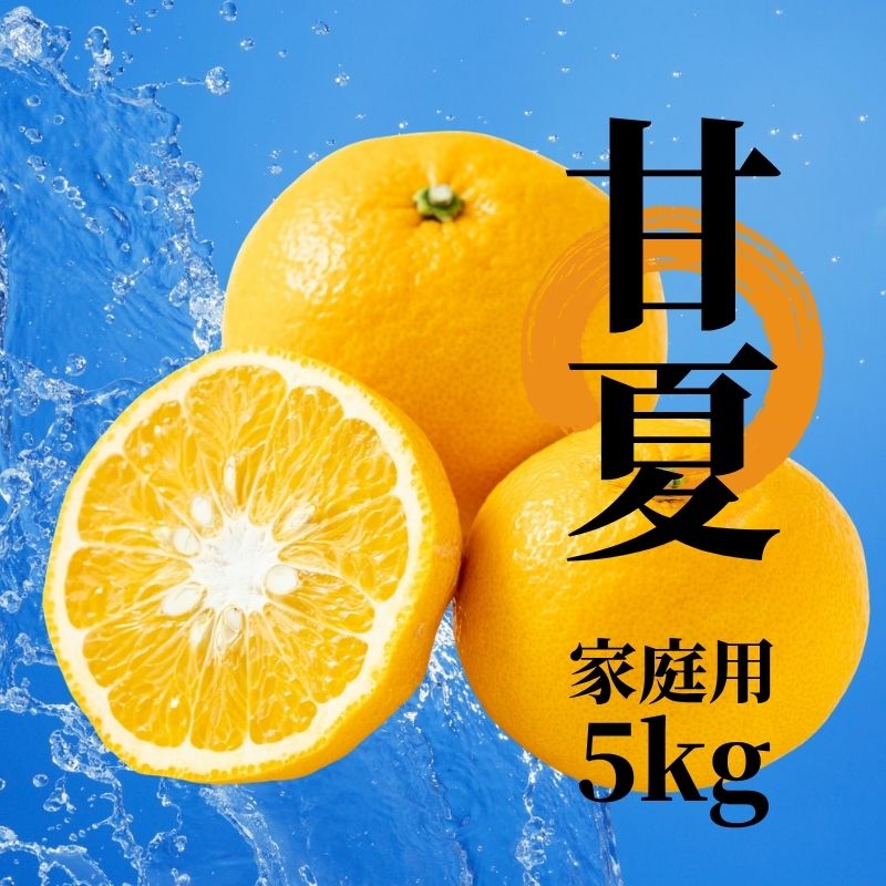 【2027年2月下旬頃から順次発送】甘夏 家庭用  約5kg | 愛媛 愛媛県産みかん 蜜柑 ミカン mikan みかん あまなつ  柑橘 お取り寄せ グルメ 期間限定 数量限定 酸味 果物 旬  愛媛県 松山市