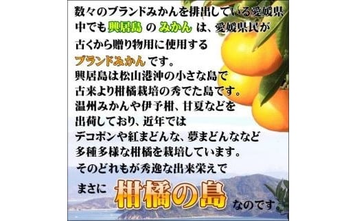 【順次発送中】興居島みかん 約6kg（L～Sサイズ） 愛媛 みかん 柑橘 興居島 ごごしま ブランド  みかん 蜜柑 柑橘  フルーツ 愛媛県 松山市