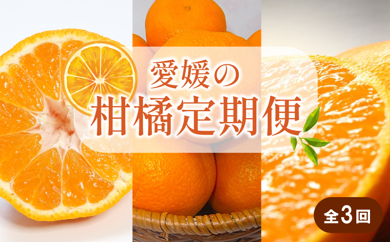 【先行予約】【全3回】 柑橘定期便｜ せとか 神ポン カラマンダリン 不知火 柑橘 定期便 取り寄せ 甘いみかん ギフト 愛媛県産 ミカン みかん mikan 蜜柑 フルーツ 果物 くだもの お取り寄せ 産地直送 数量限定 人気 おすすめ 送料無料 贈答 ギフト 愛媛県 松山市