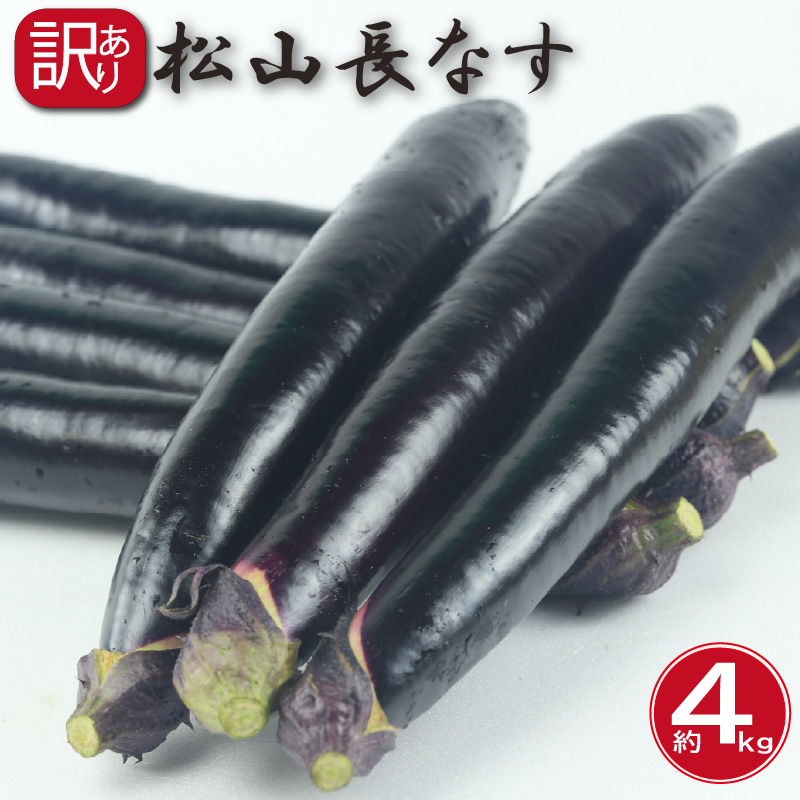 訳あり 松山長なす 約4kg | 夏野菜 茄子 わけあり 不揃い ナス 長なす ワケアリ 長ナス 野菜 国産 国内産 愛媛県 松山市