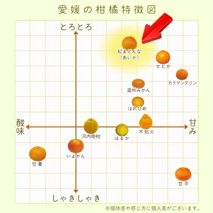 【2026年11月中旬頃から順次発送】愛果28号 (紅まどんな と同品種) 家庭用(優品) 約3kg あいか みかん ミカン オレンジ 贈答 ギフト プレゼント 高級 柑橘 松山 愛媛県