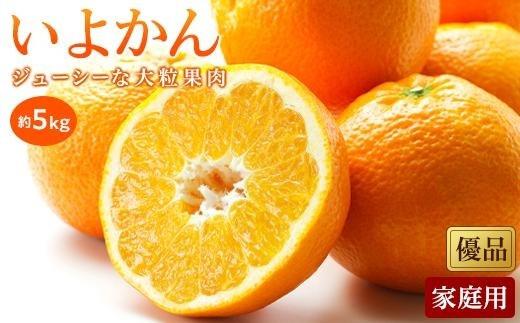 【2027年1月中旬頃から順次発送】いよかん＜優品・家庭用＞約5kg （ 愛媛産 愛媛県産 国産 愛媛みかん 愛媛蜜柑 愛媛ミカン みかん ミカン mikan 蜜柑 柑橘 フルーツ 果物 くだもの お取り寄せ 産地直送 数量限定 人気 おすすめ 愛媛県 松山市 送料無料 ）