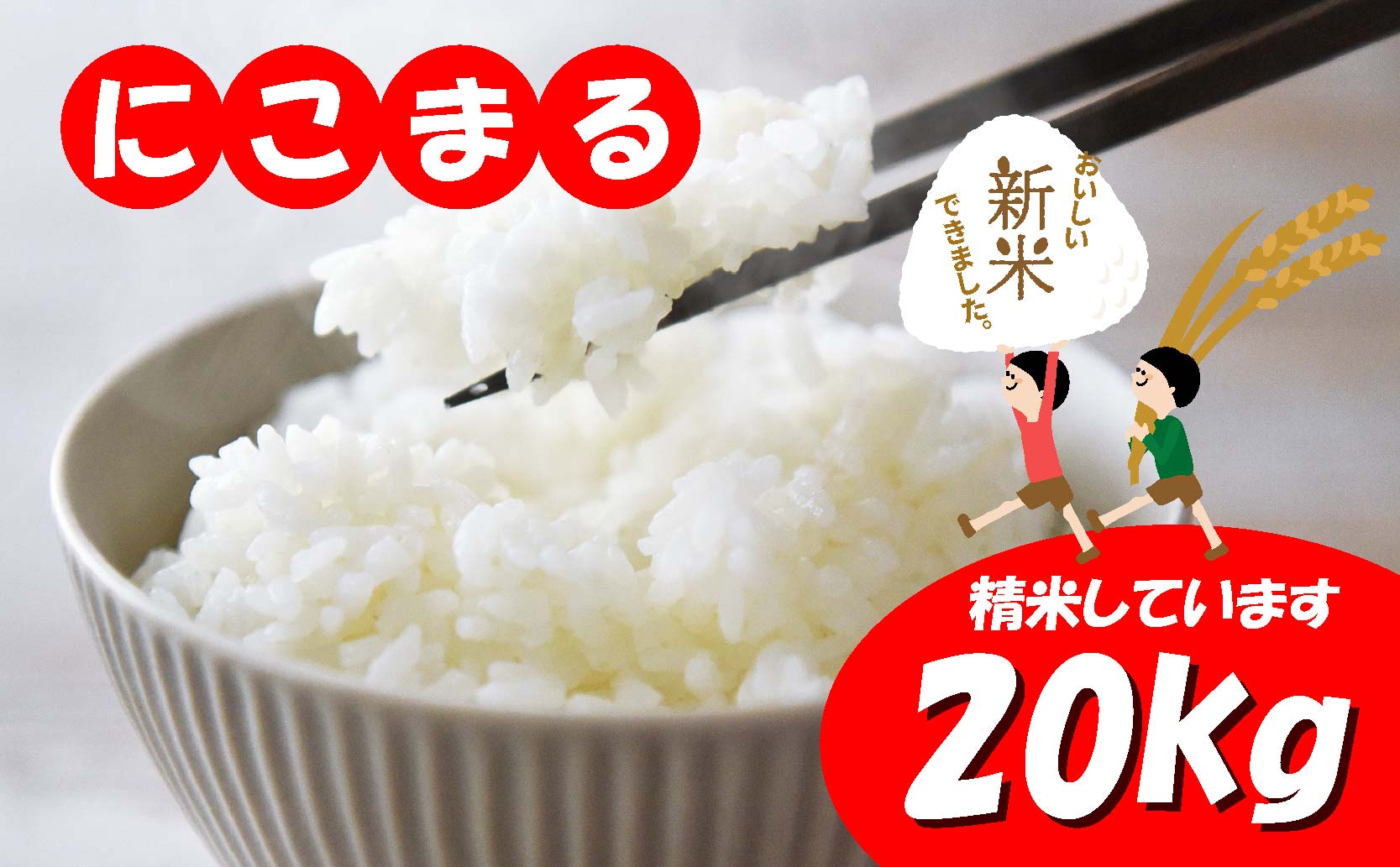 愛媛県産 米20kg 精米 ｜産地直送 国産 白米 ブランド米 期間限定 数量限定 ご当地 愛媛県 松山市