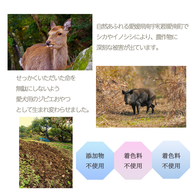 【しかしか・いのいの各1P + しかペースト2P】 ロヴァリのしかしか・いのいの ＆ しかペースト セット （ 愛犬 ジビエ おやつ ご褒美 イノシシ シカ 猪 鹿 小型犬 シニア犬 保存料不使用 愛媛 松山 ）