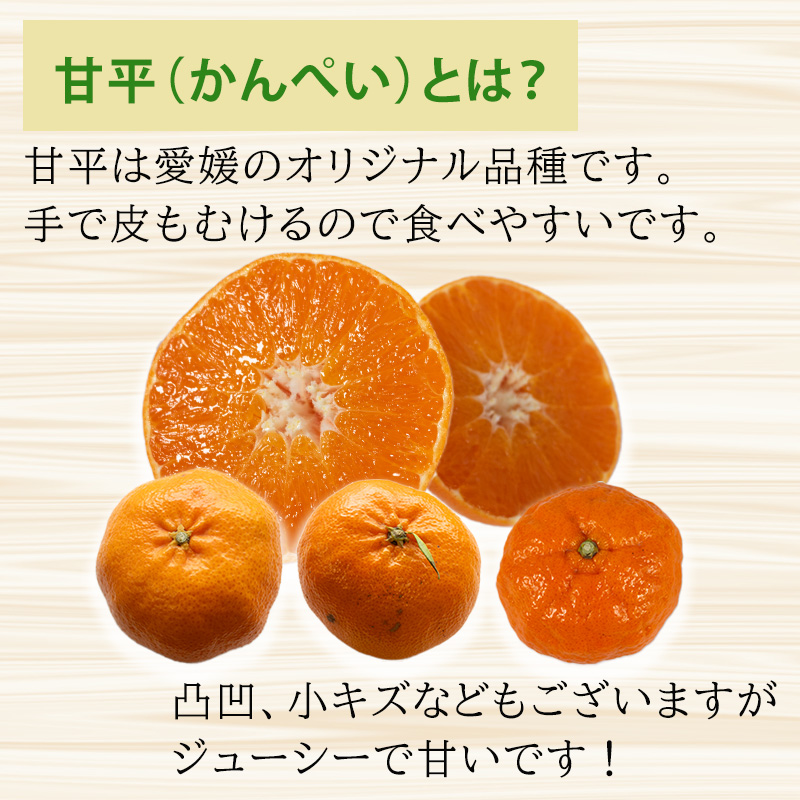 ã2026幎1æäžæ¬ããçºéã çå¹³ ãããºã â¯ççŽããåªçŽ çŽ2kg L-2L 8ãã12å | é«çŽ ææ© ã¿ãã èæ æåª æŸå±± 10000å çã é«çŽ ææ© ã¿ãã èæ æåª æŸå±± 10000å è¿ç€Œå çã 倧ç ã¿ãã ã¿ããã©ã³ãã³ã° äžäœ