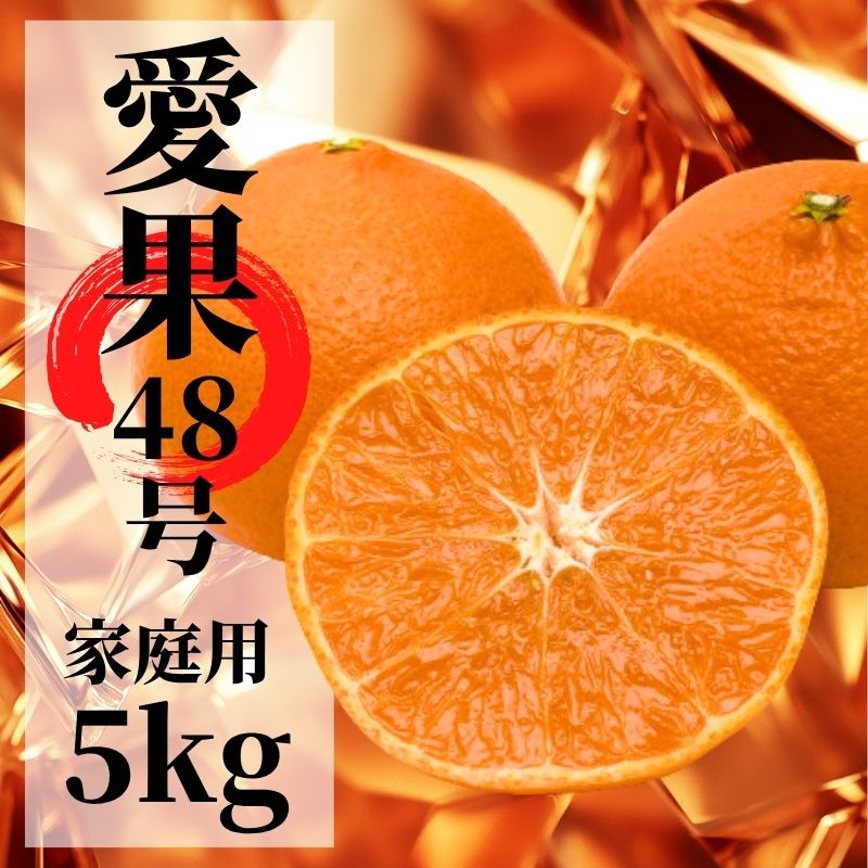 【2027年2月下旬頃から順次発送】愛果48号　家庭用 約5kg  | 愛媛 愛媛県産みかん 蜜柑 ミカン mikan みかん あいか  柑橘 お取り寄せ グルメ 期間限定 数量限定 あまい甘い 果物 旬  美味しい  愛媛県 松山市