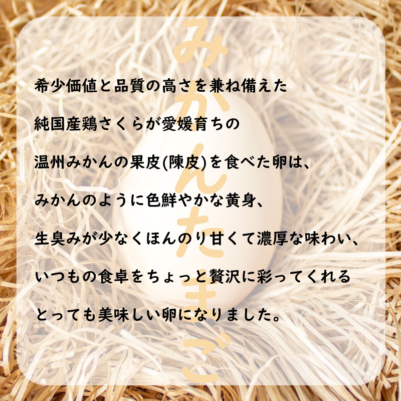 2種のたまご食べ比べセット 計40個(10個×4パック) ※割れ保証5個含む