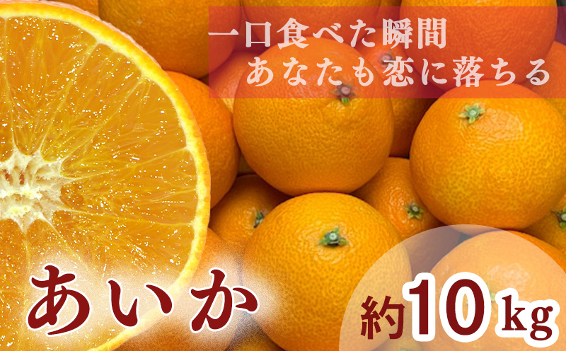 【 先行予約 】【訳あり】農家直送 名前だけが訳あり あいか 10kg 家庭用 | 紅まどんな と同種 みかん 愛媛 松山 フルーツ 果物 くだもの 10キロ 数量限定 期間限定 送料無料 柑橘 みかん フルーツ 果物 みかん ランキング 2024年度