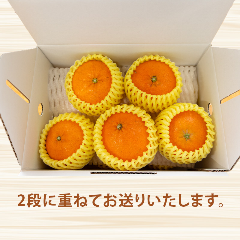 ã2026幎1æäžæ¬ããçºéã çå¹³ ãããºã â¯ççŽããåªçŽ çŽ2kg L-2L 8ãã12å | é«çŽ ææ© ã¿ãã èæ æåª æŸå±± 10000å çã é«çŽ ææ© ã¿ãã èæ æåª æŸå±± 10000å è¿ç€Œå çã 倧ç ã¿ãã ã¿ããã©ã³ãã³ã° äžäœ