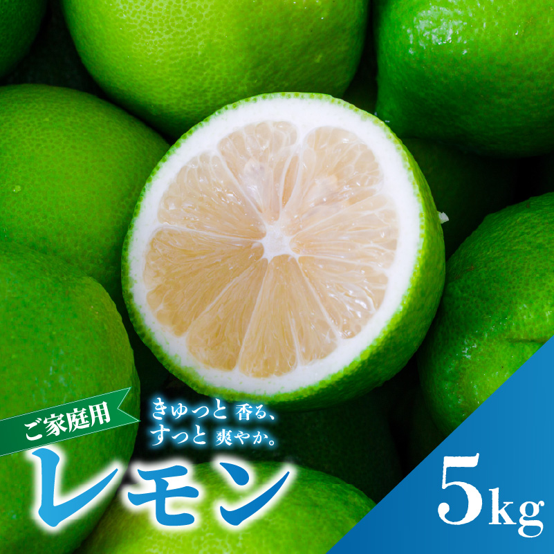 【2026年9月下旬頃から順次発送】 家庭用 グリーンレモン 約5kg 防腐剤 ワックス 不使用｜ 訳あり レモン 檸檬 完熟 柑橘 酸味 国産 愛媛県産 訳あり 新鮮 愛媛 松山