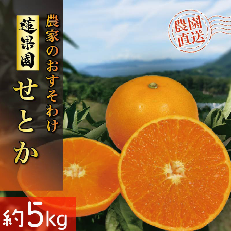 【先行予約】 【2026年2月下旬から発送予定】 せとか B品 家庭用5kg  | 愛媛産 愛媛県産 国産 愛媛みかん 愛媛蜜柑 愛媛ミカン みかん ミカン mikan 蜜柑 柑橘 フルーツ 果物 くだもの お取り寄せ 産地直送 数量限定 人気 おすすめ 愛媛県 松山市 送料無料【RNK0052】