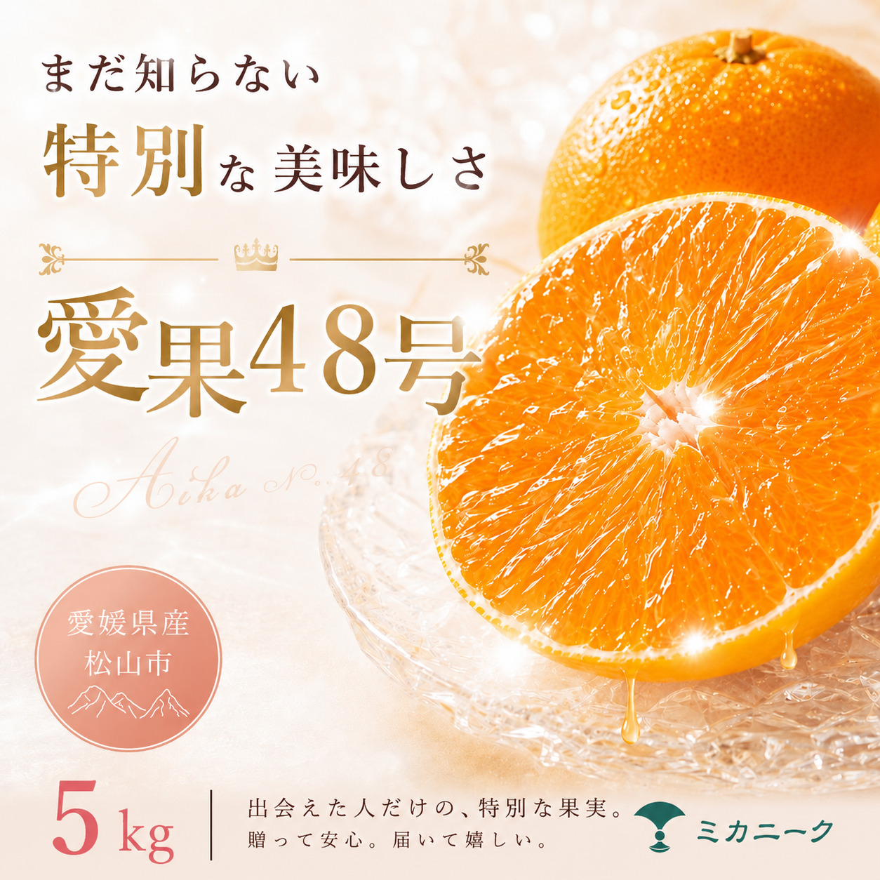 【知る人ぞ知る】 幻の新品種 【愛果48号】 5kg 愛媛県産 国産 【2027年2月下旬頃から順次発送】 | 日本 みかん 愛果48号 あいか  蜜柑 アイカ 柑橘 果物 愛媛のみかん くだもの 贈答 フルーツ ご家庭用 数量限定 愛媛県産 ミカン 愛媛県 松山市