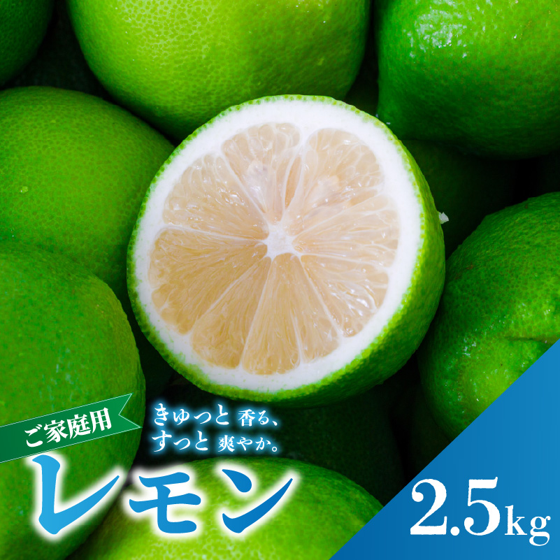 【2026年9月下旬頃から順次発送】家庭用 グリーンレモン 約2.5kg 防腐剤 ワックス 不使用｜ 訳あり レモン 檸檬 完熟 柑橘 酸味 国産 愛媛県産 訳あり 新鮮 愛媛 松山