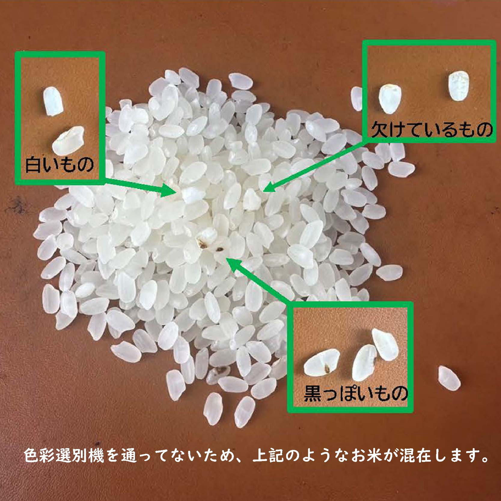 愛媛県産 米20kg 精米 ｜産地直送 国産 白米 ブランド米 期間限定 数量限定 ご当地 愛媛県 松山市