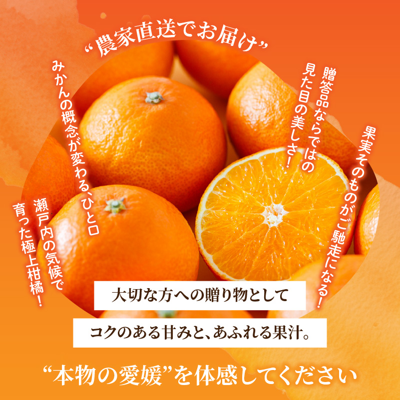 愛果28号 (紅まどんな と同品種) ギフトボックス Lから2Lサイズ 5玉 ご贈答 A品 秀品【2026年11月下旬より順次発送】 | あいか 紅まどんな 紅マドンナ と 同品種 愛媛みかん みかん ミカン mikan お取り寄せ 産地直送 数量限定 人気 おすすめ 愛媛県 松山市 蓮果園