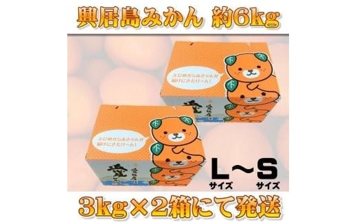 【順次発送中】興居島みかん 約6kg（L～Sサイズ） 愛媛 みかん 柑橘 興居島 ごごしま ブランド  みかん 蜜柑 柑橘  フルーツ 愛媛県 松山市