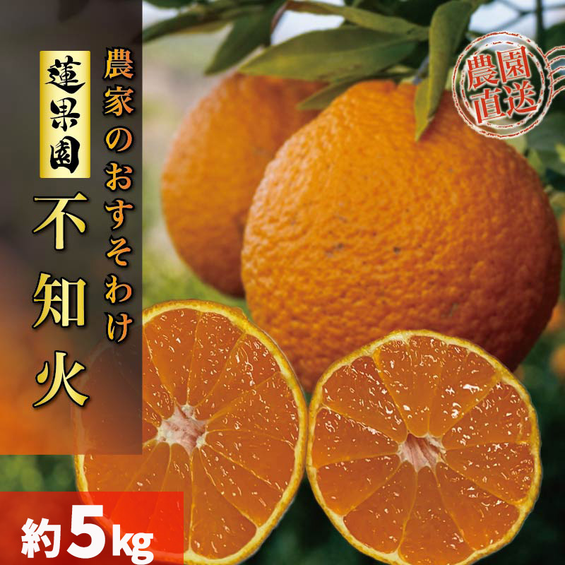 【先行予約】【2026年2月下旬から発送】不知火（デコポンと同一品種） B品 家庭用 5kg |  愛媛産 愛媛県産 国産 愛媛みかん 愛媛蜜柑 愛媛ミカン みかん ミカン mikan 蜜柑 柑橘 フルーツ 果物 くだもの お取り寄せ 産地直送 数量限定 人気 おすすめ 愛媛県 松山市 送料無料【RNK0072】