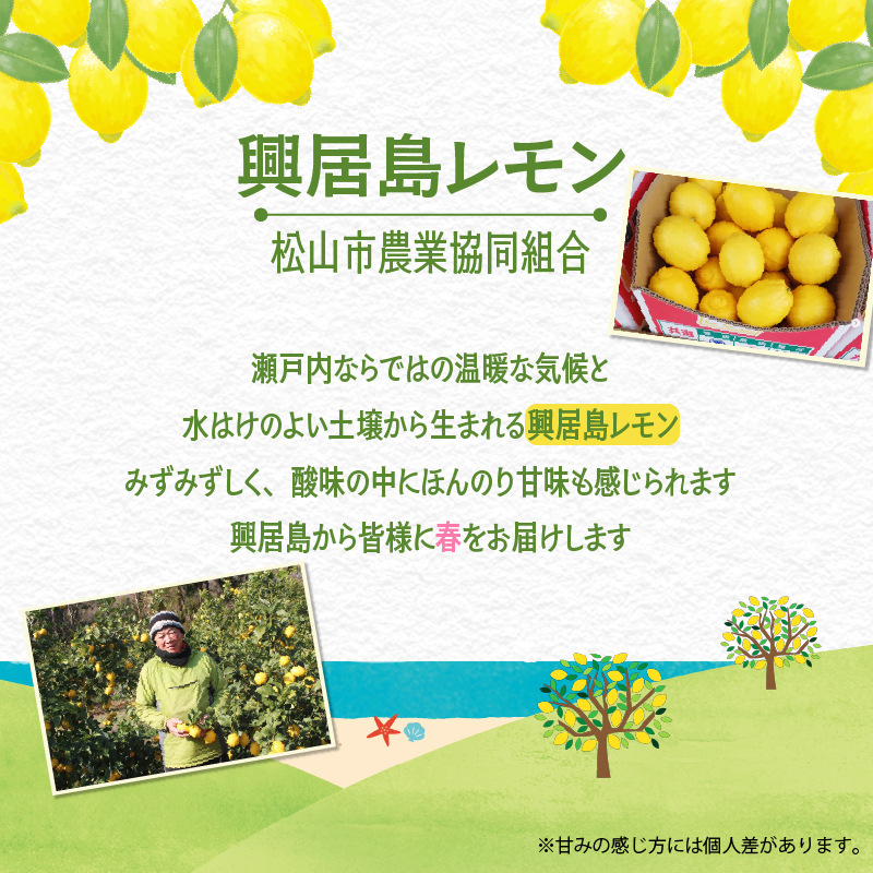  【4月上旬より発送】興居島レモン 10kg | 国産 愛媛 れもん レモン lemon 青果 フルーツ 果物 くだもの 期間限定 数量限定 人気 おすすめ 愛媛県 松山市 ブランド 興居島 送料無料 