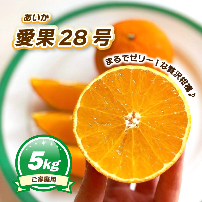 ご家庭用 愛果28号 (紅まどんな と同品種) 約5kg 【2025年11月下旬ごろ発送予定】 | あいか ご家庭用 みかん 数量限定 みかん 愛媛県産 みかん 愛果28号 松山市 みかん 愛果28号 みかん 蜜柑 愛果28号 ミカン みかん 旬 愛果28号