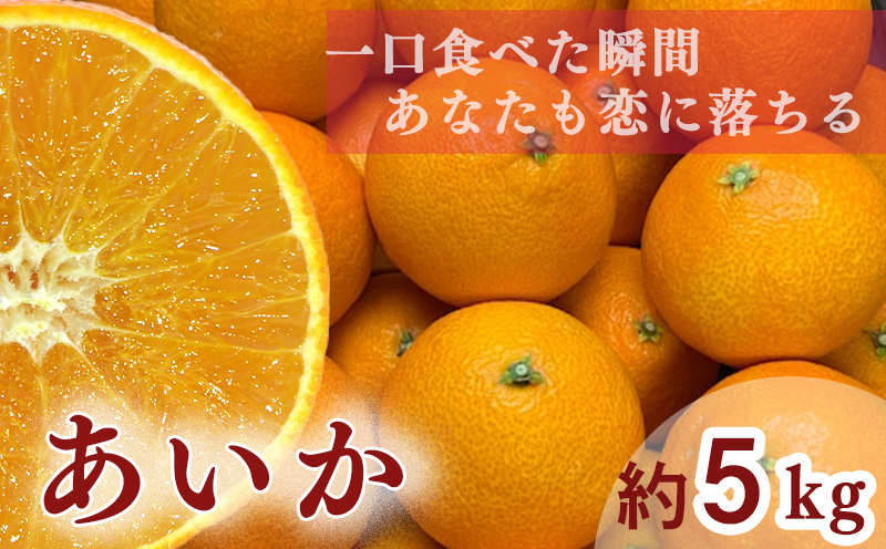 【 先行予約 】【訳あり】農家直送 名前だけが訳あり あいか 5kg | 紅まどんな と同種 みかん 愛媛 松山 フルーツ 果物 くだもの 5キロ 数量限定 期間限定 送料無料 柑橘 みかん フルーツ 果物 みかん ランキング 2024年度