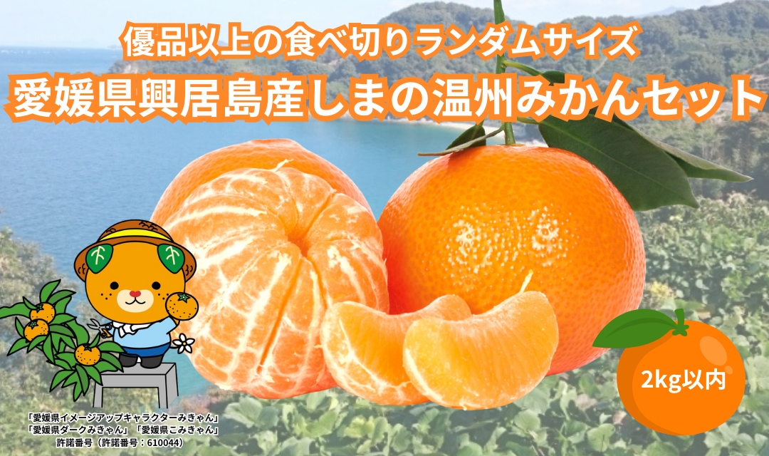 【先行予約】 温州みかん 2kg 興居島産 ランダムサイズ 優品以上 愛媛産 愛媛県産 国産 愛媛みかん 愛媛蜜柑 愛媛ミカン みかん ミカン mikan 蜜柑 柑橘 フルーツ 果物 くだもの お取り寄せ 産地直送 数量限定 人気 おすすめ 愛媛県 松山市