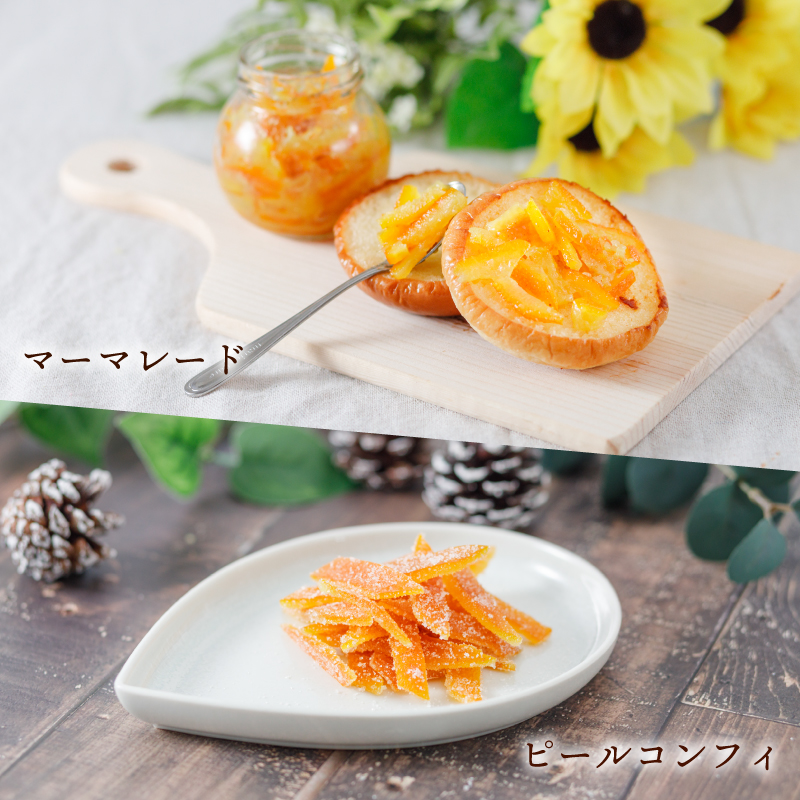 【自然栽培】潮風たっぷり!自然栽培 いよかん 冷凍 ピール 皮 ｜ いよかん お菓子づくり マーマレード お酒 伊予柑 愛媛県産 みかん 自然栽培 柑橘 ミカン ﾐｶﾝ 愛媛県産 家庭用 えひめのみかん GUILD 愛媛県 松山市