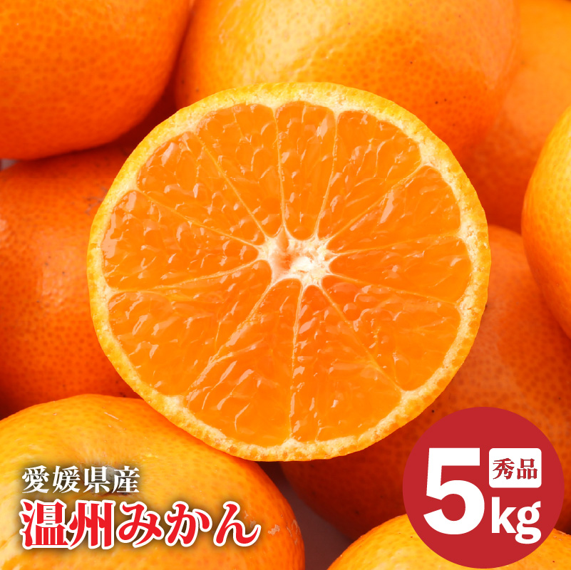【2025年11月下旬より発送】愛媛県産 みかん 秀品 約 5kg | 温州 ミカン mikan みかん ギフト 贈り物 蜜柑 柑橘 数量限定 愛媛県 松山市