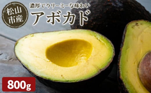 【11月上旬から2月上旬】発送松山市産 アボカド 800g （ サラダ 料理 果物 ヘルシー アボガド ダイエット ミネラル 森のバター 栄養 国産 愛媛 松山 ）