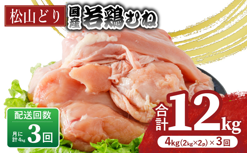 【定期便3回】松山どり むね肉 2kg×2パック×3回 計12kg | 定期便 国産 鶏肉 小分け 若鶏 冷凍 愛媛県 松山市 株式会社ビージョイ