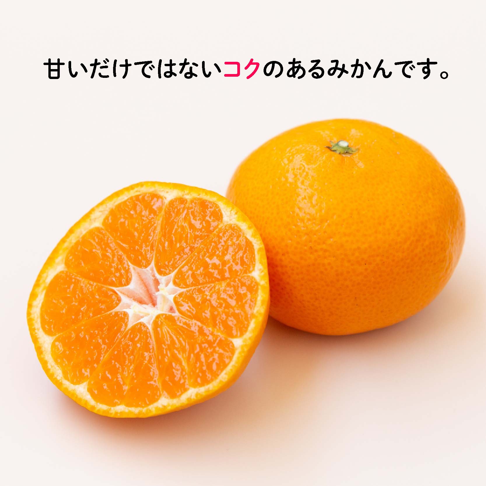 ã11æäžæ¬ããé æ¬¡çºéãçããæåªã¿ãã ç¬æžå
ã®å€ªéœãšæœ®é¢šã§è²ã£ããå®¶åºçš 3kg | èæ ã¿ãã æåª æŸå±± ãã«ãŒã æç© ãã ãã® æ°ééå® æééå® éæç¡æ