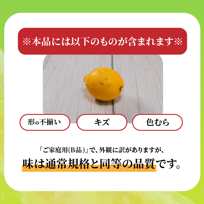 イエロー レモン 家庭用 お試し 1kg 【2027年2月上旬から発送】 防腐剤 ワックス 不使用｜ 訳あり レモン 檸檬 完熟 柑橘 酸味 国産 愛媛県産 訳あり 新鮮 愛媛 松山 