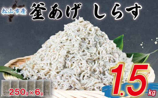 家庭用 釜揚げ しらす 約1.5kg | 家庭用 冷凍 しらす しらす干し ごはんのお供 おつまみ 酒の肴 小分け 便利 簡単調理 おかず 惣菜 しらす丼 グルメ 食品 魚 魚介 海鮮 シラス 愛媛県 松山市 しらす