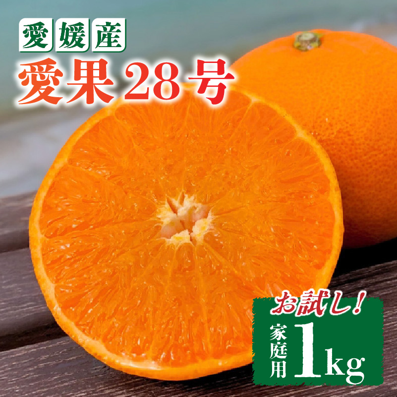 愛果28号 家庭用 お試し1kg(4～5個) 【先行予約 2025年11月下旬から発送】 | 愛果 あいか 紅まどんな 紅マドンナ と 同品種 みかん まどんな ワケアリ 訳あり B品 柑橘 みかん 果物 おすすめ 高級 人気 お取り寄せ グルメ ギフト 期間 ご当地 愛媛県 松山市 蓮果園