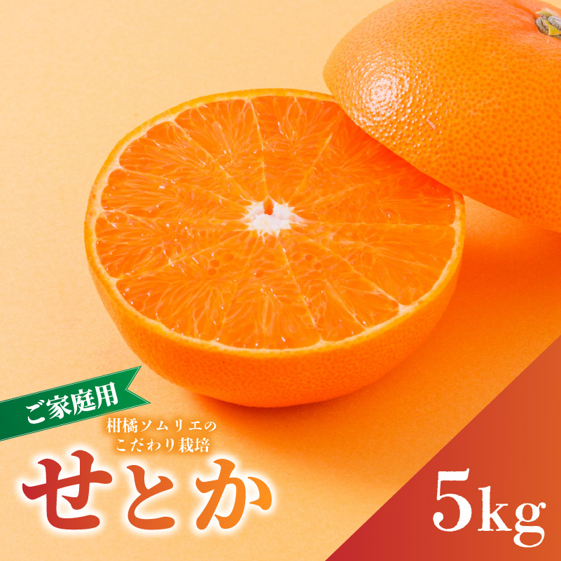 せとか B品 家庭用 5kg [順次発送中] | 愛媛産 愛媛県産 国産 愛媛みかん 愛媛蜜柑 愛媛ミカン みかん ミカン mikan 蜜柑 柑橘 フルーツ 果物 くだもの お取り寄せ 産地直送 数量限定 人気 おすすめ 愛媛県 松山市 送料無料