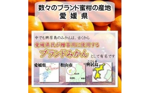 【順次発送中】興居島みかん 約6kg（L～Sサイズ） 愛媛 みかん 柑橘 興居島 ごごしま ブランド  みかん 蜜柑 柑橘  フルーツ 愛媛県 松山市