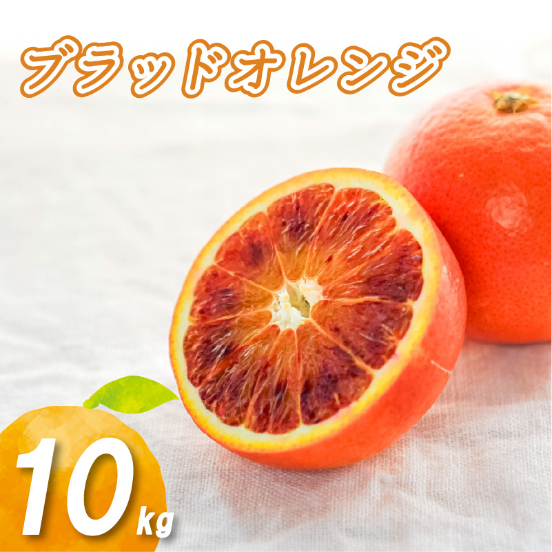 【2026年1月下旬より発送】ブラッドオレンジ 10kg | 数量選択可 みかん ミカン 蜜柑 柑橘 数量限定 愛媛県産 松山市 中島 低農薬 愛媛 ふるさと納税