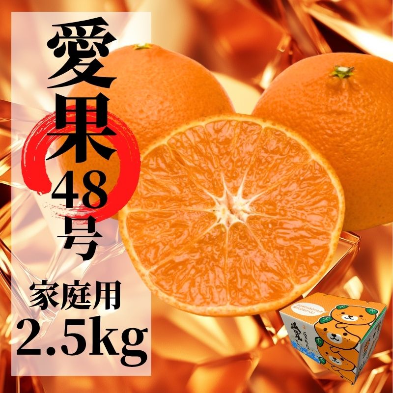 【2027年2月下旬頃から順次発送】愛果48号　家庭用 約2.5kg  | 愛媛 愛媛県産みかん 蜜柑 ミカン mikan みかん あいか  柑橘 お取り寄せ グルメ 期間限定 数量限定 あまい甘い 果物 旬  美味しい  愛媛県 松山市
