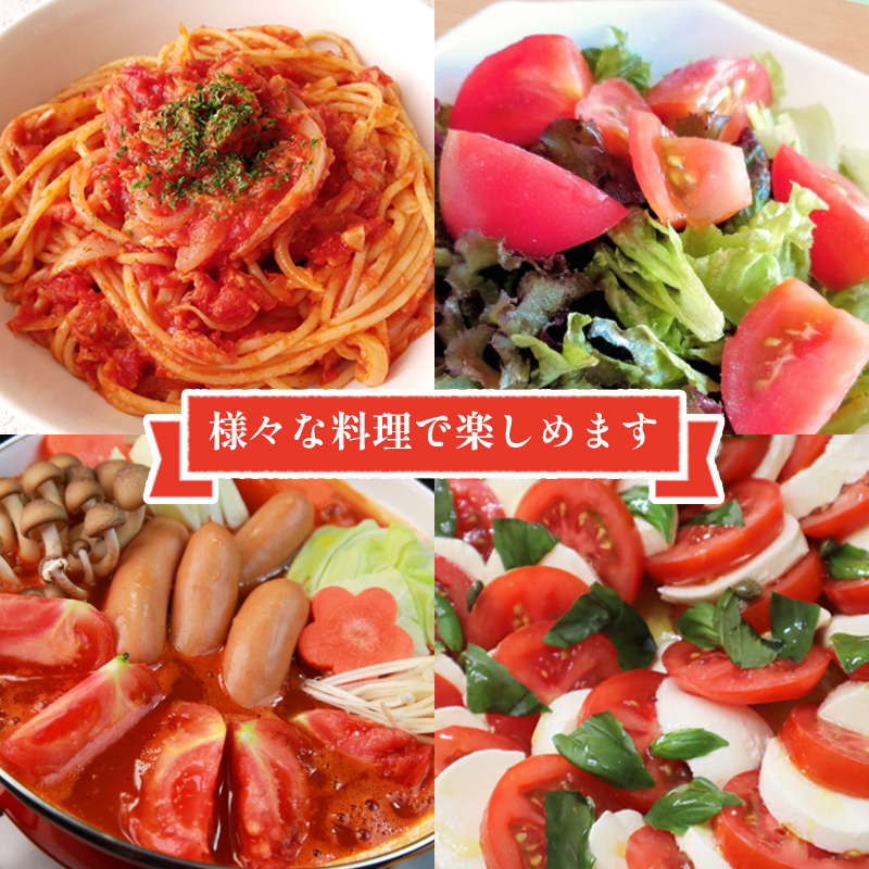 moto farm トマト 2kg  甘みと酸味の絶妙なバランスの麗月トマト 赤採れ  | トマト とまと 野菜 産地直送 数量限定 完熟 赤採れ とまと2kg 愛媛 松山 