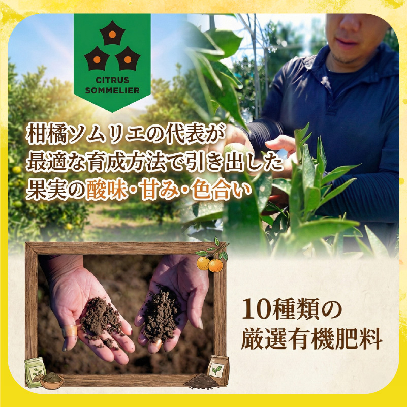 ããŠã€ãã«ãŒã ãã€ã¯ãŒã 5kg ãµã€ãºæ··å å®¶åºçš ãå
è¡äºçŽ 2026幎10æäžæ¬ããçºéã | ããã æç© ããŠã€ãã ãã® ãã«ãŒã ãããã äººæ° ãåãå¯ã ã°ã«ã¡ ã®ãã æééå® æ°ééå® ãåœå° æåªç æŸå±±åž
